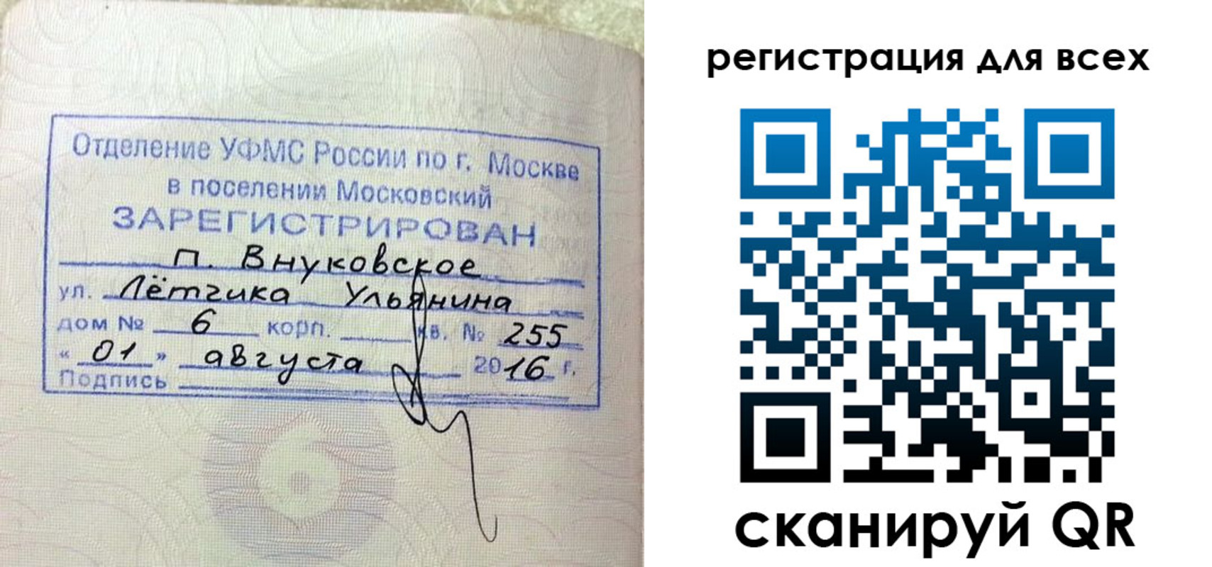 прописка 2025 в Дальнегорске